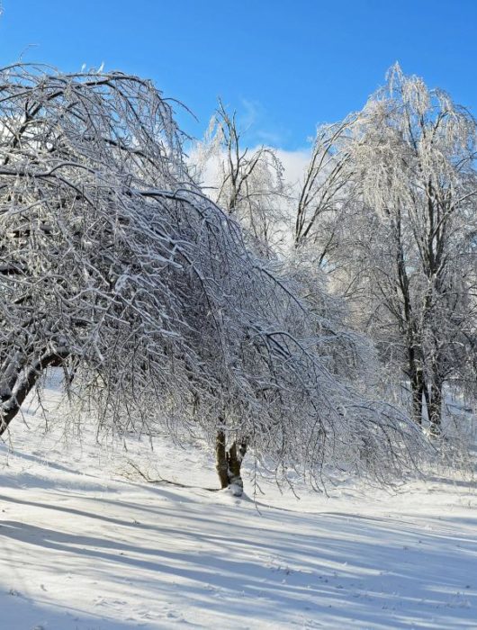 AEE Columbia River Chapter – Holiday Party