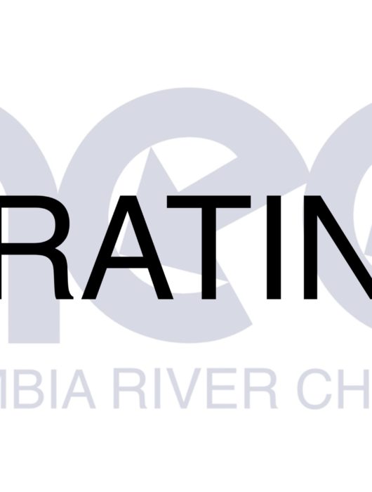 Celebrating 2019 & New 2020 Board Members