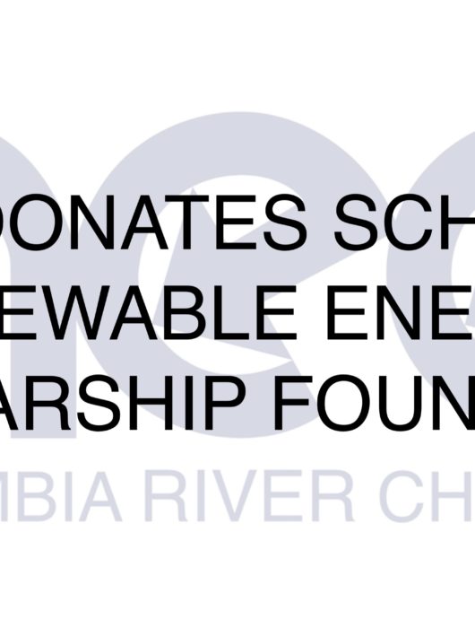 AEE CRC Donates Scholarship 2021